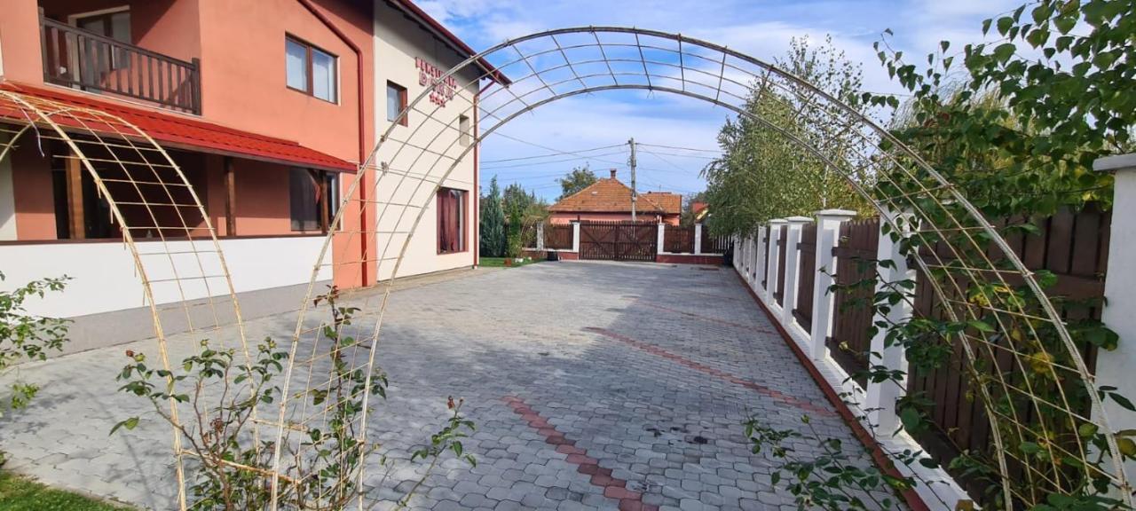 Pensiunea Dara Risnov Exterior photo