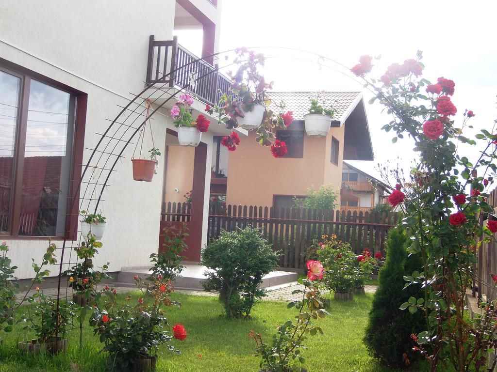 Pensiunea Dara Risnov Exterior photo